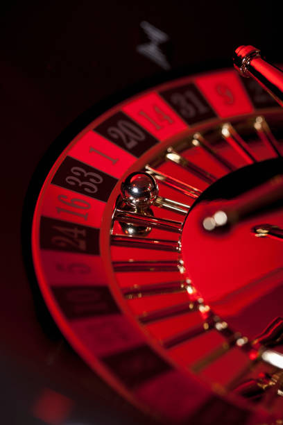 plustogel Bingo Rooms & Social Play